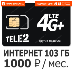 SIM-карта ТЕЛЕ2 Бизнес 2XL 1000