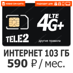 SIM-карта ТЕЛЕ2 Бизнес 2XL 590
