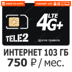 SIM-карта ТЕЛЕ2 Бизнес 2XL 750