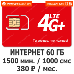Тариф М-Сеть Умный L (Москва)