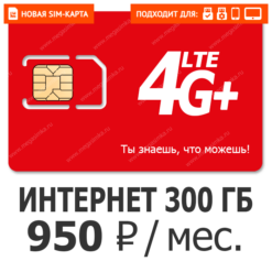 SIM-карта М-Сеть Премиум 950