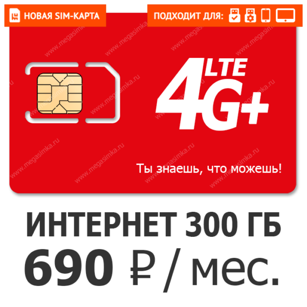 SIM-карта М-Сеть Премиум 690 №2
