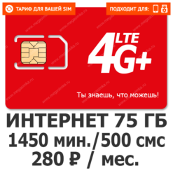 Тариф Тариф М-Т-С Умный L (Регион)