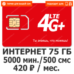 Тариф М-Т-С Умный XL (Регион)