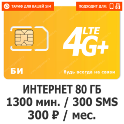 Тариф Би Люкс Регион 300