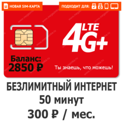 Sim-карта М-Сеть Выгодный 300