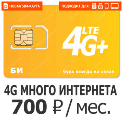 SIM-карта БИ Бизнес XL 700
