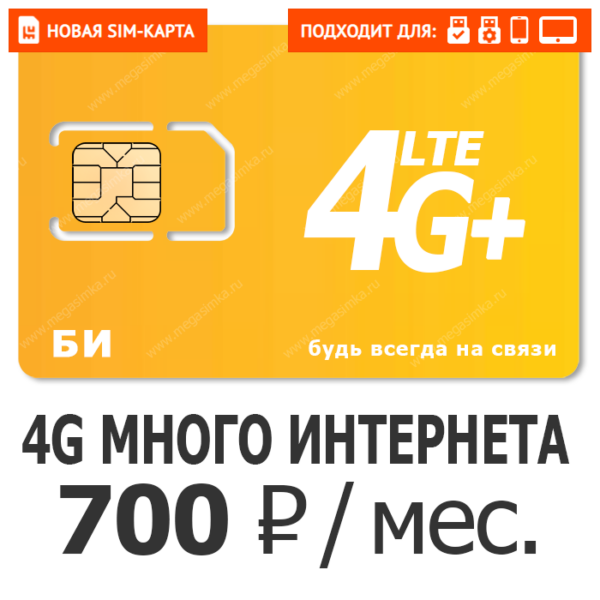 SIM-карта БИ Бизнес XL 700