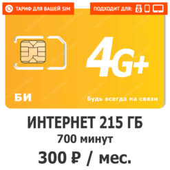 Тариф Би Дружба 300