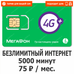 Улучшение для Тарифа Мегафон Все за 300