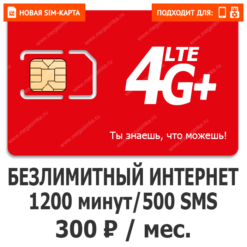 SIM-карта М-Сеть NEW LEVEL 300 (саморегистрация)