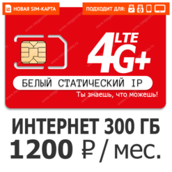 SIM-карта М-Сеть 1200 Белый Статический IP (саморегистрация)